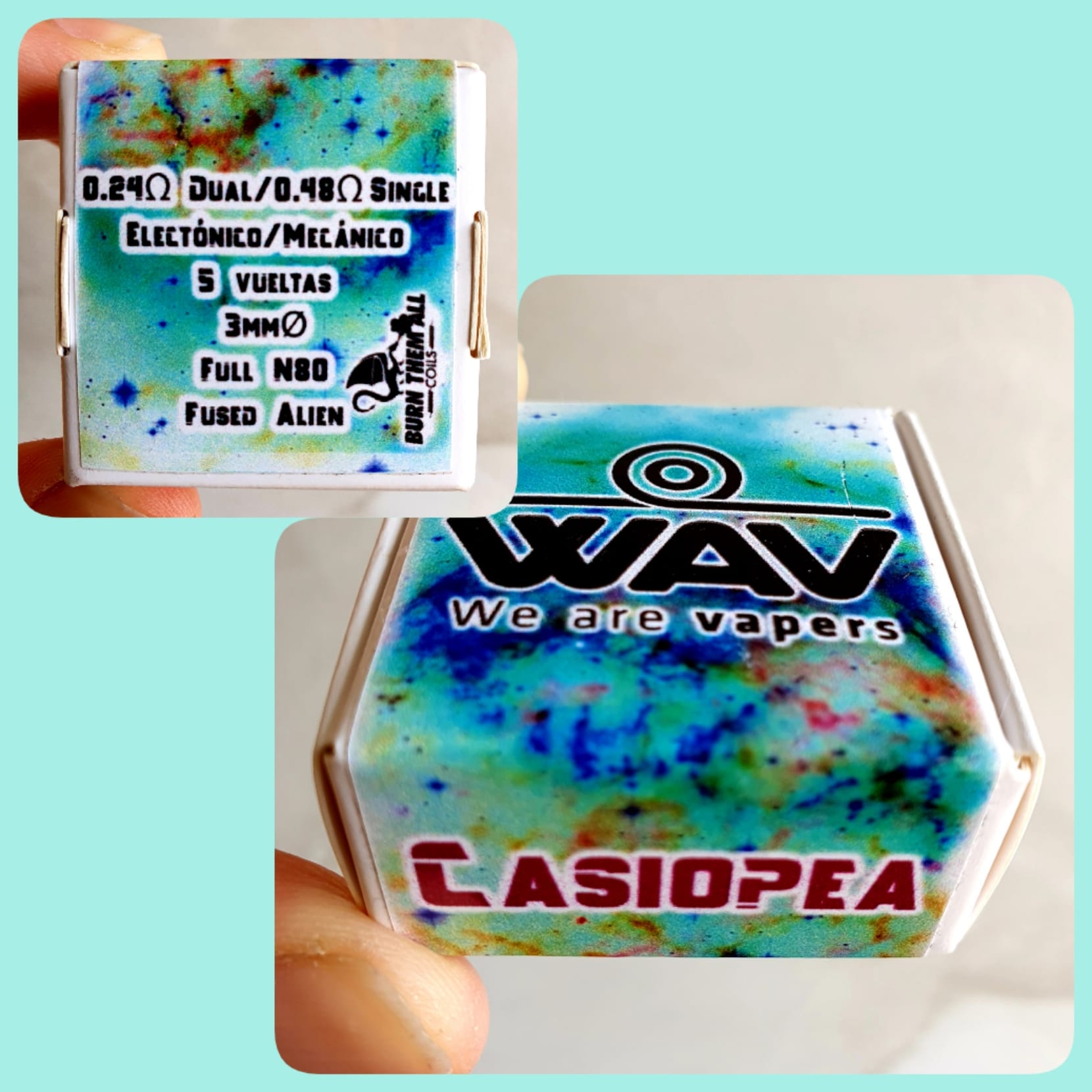 Casiopea coil, We are vapers